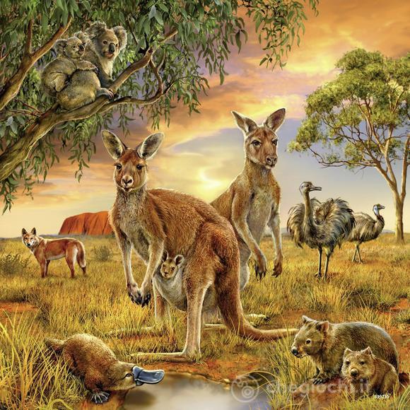 Animali del mondo (09330)