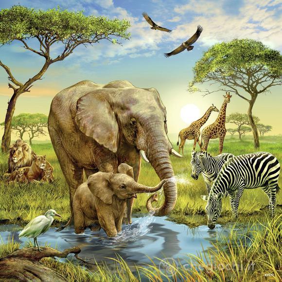 Animali del mondo (09330)
