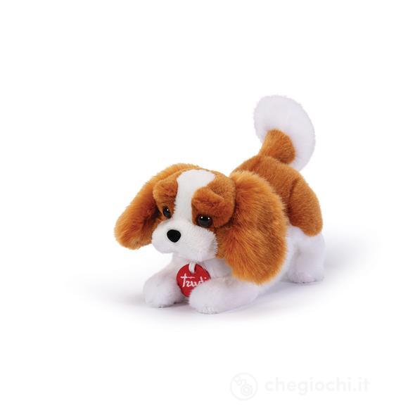 Cavalier King Marley S (22334)