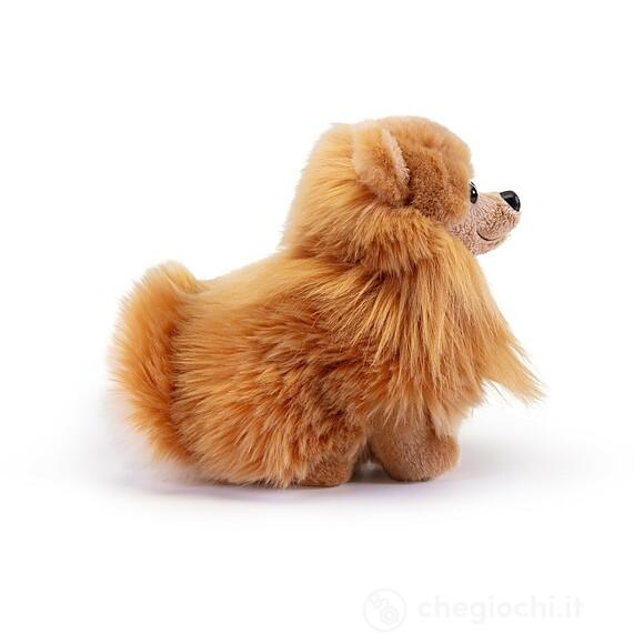 Pomerania Biscuit S (22347)