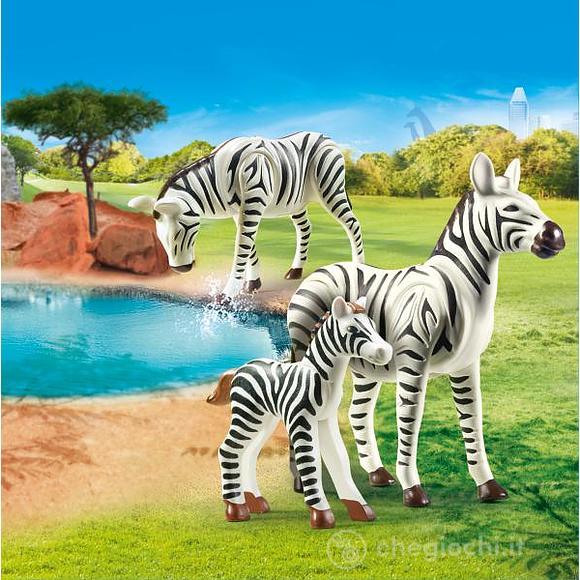 Famiglia Di Zebre (70356)