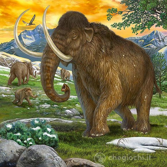 Dinosauri (9358)