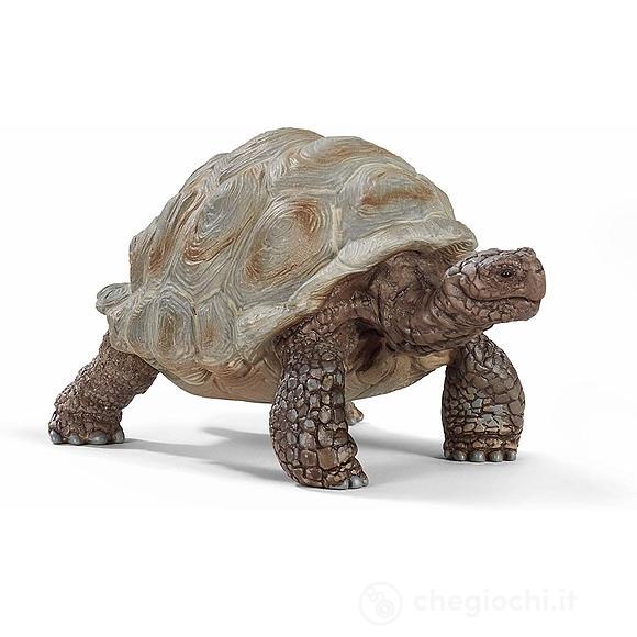 Tartaruga gigante (2514824)
