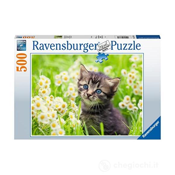 Puzzle 500 pz Gattino nel prato