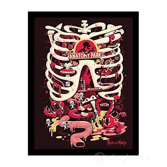 Rick And MorAnatomy Park (Stampa In Cornice 30X40 Cm)