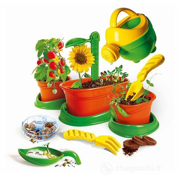 Apprendisti Botanici (19381)