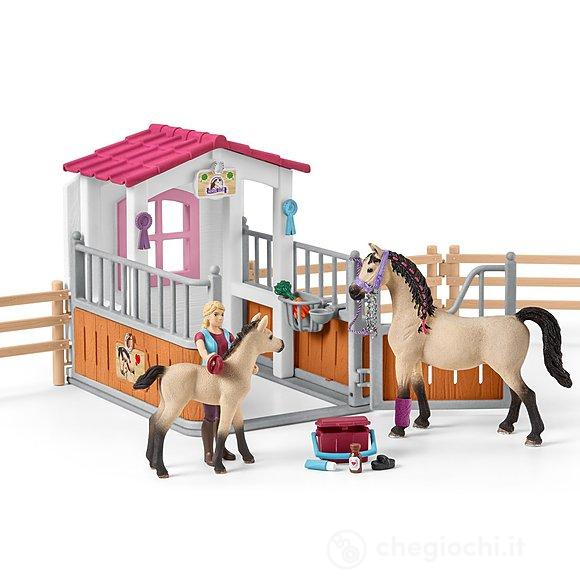 Box Cavalli Arabi e Addetta Cura Animali (42369)
