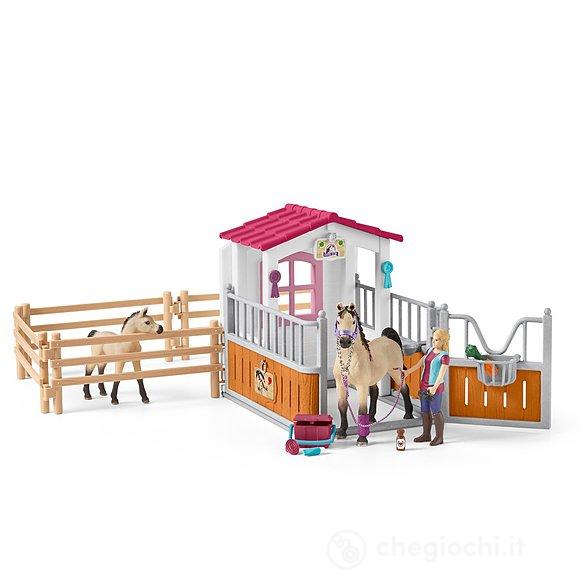 Box Cavalli Arabi e Addetta Cura Animali (42369)