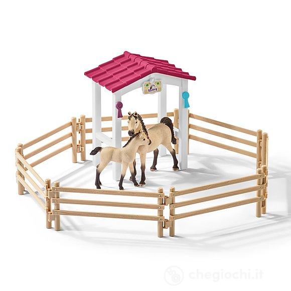 Box Cavalli Arabi e Addetta Cura Animali (42369)