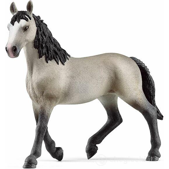 Giumenta Cheval De Selle Francais (13955)