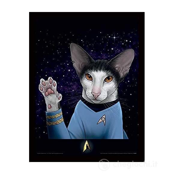 Star Trek: Cats (Spock Paw) Memorabillia Range (Poster In Cornice 30x40)