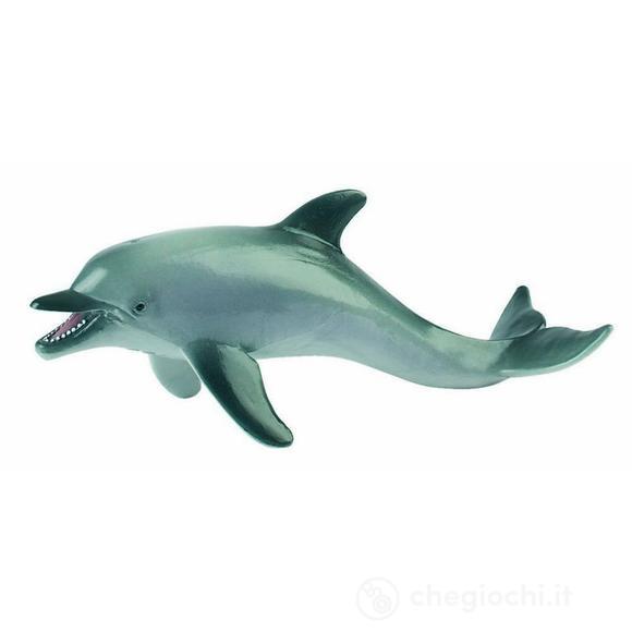 Delfino (67412)