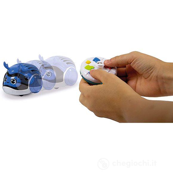 Racing bugs scarabeo