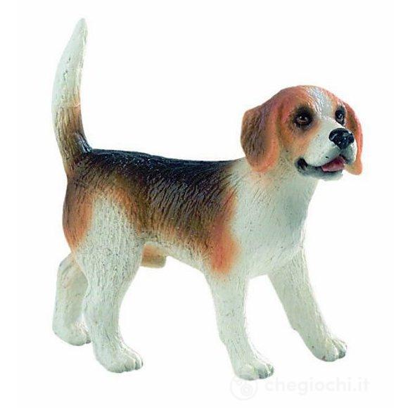 Cane - Beagle Henry (65424)