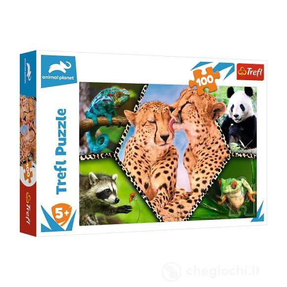 Puzzle 100 - Beautiful Nature / Discovery Animal Planet