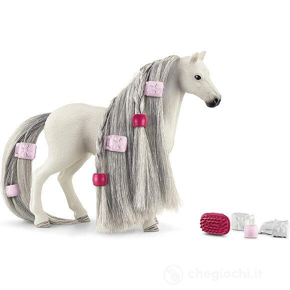 Beauty horse con giumenta quarter horse (2542583)
