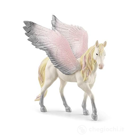 Sunrise Pegasus (2570720)