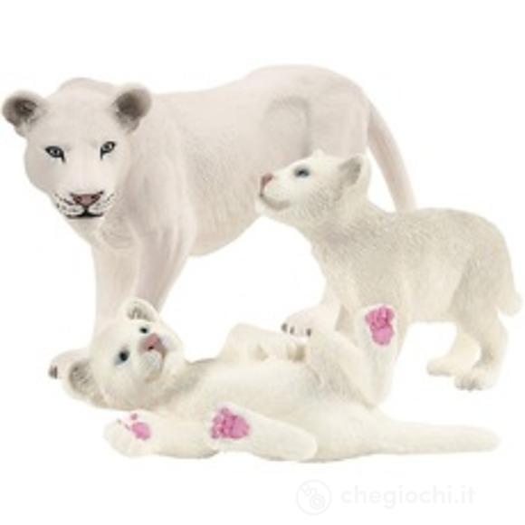 Leonessa con cuccioli (2542505)