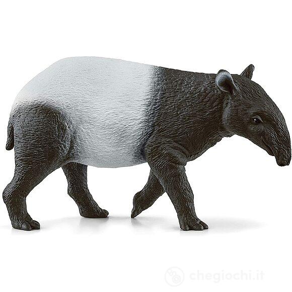 Tapiro (2514850)