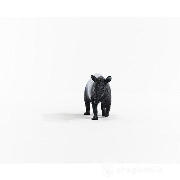 Tapiro (2514850)