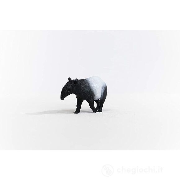 Tapiro (2514850)