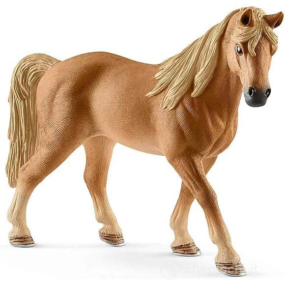 Giumenta Tennessee Walker (2513833)