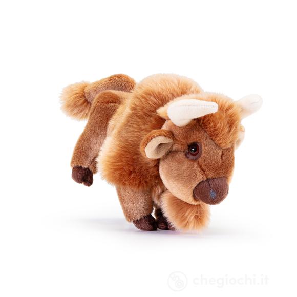 Bisonte Rocky M (69473)