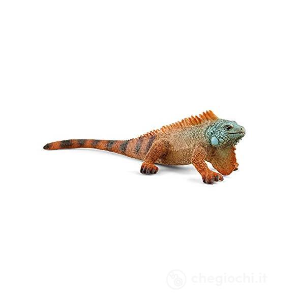 Iguana (2514854)