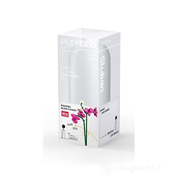 Pleyerid - Butterfly Orchidea 253 Pz