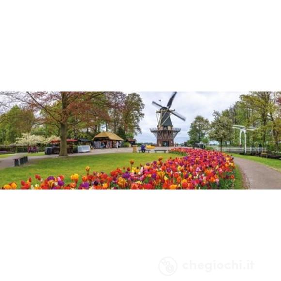 1000 Panorama - 'De Keukenhof Olanda