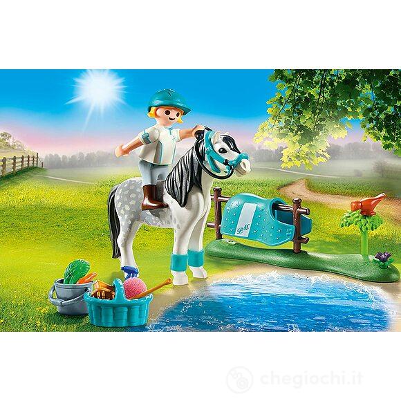 Pony Classic (70522)