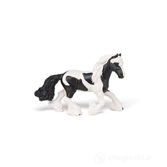 Cavallo Cob (PAP51550)