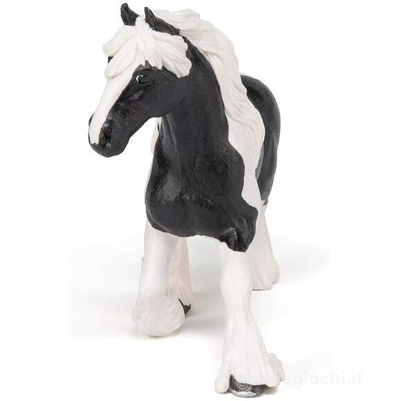 Cavallo Cob (PAP51550)