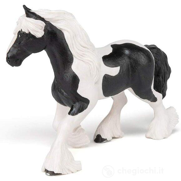 Cavallo Cob (PAP51550)
