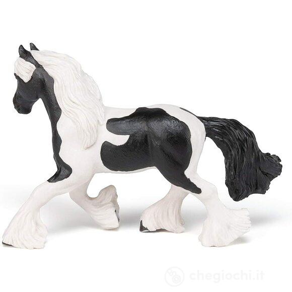 Cavallo Cob (PAP51550)