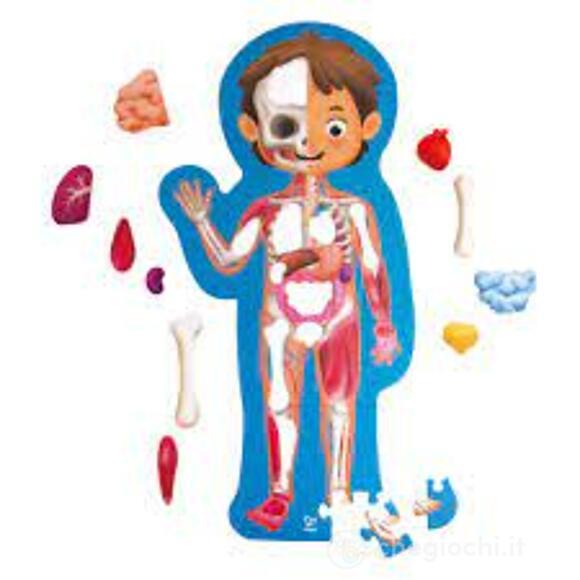 Puzzle Corpo umano (E1635)