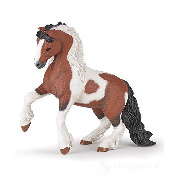 Cavallo Irish Cob (PAP51558)