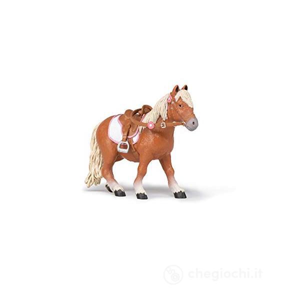 Pony Shetland con sella (PAP51559)