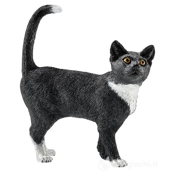 Gatto in piedi (2513770)