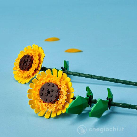 Girasoli - Botanical Collection (40524)