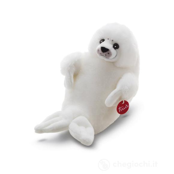 Foca Lucy media