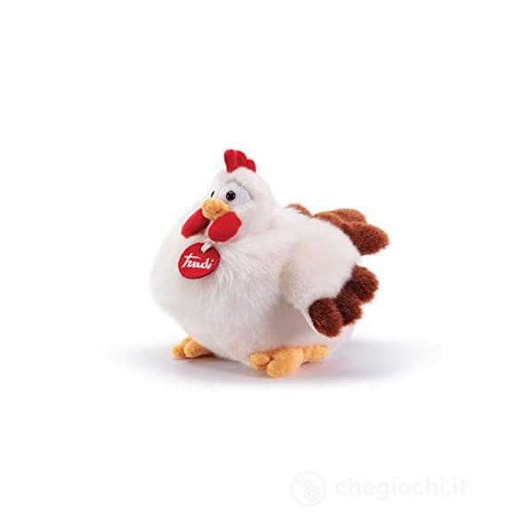 Gallina Daisy S (23566)
