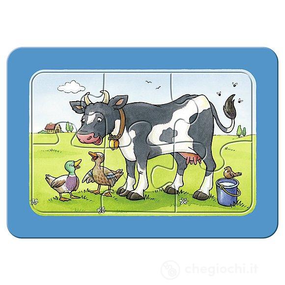Teneri amici animali (6571)