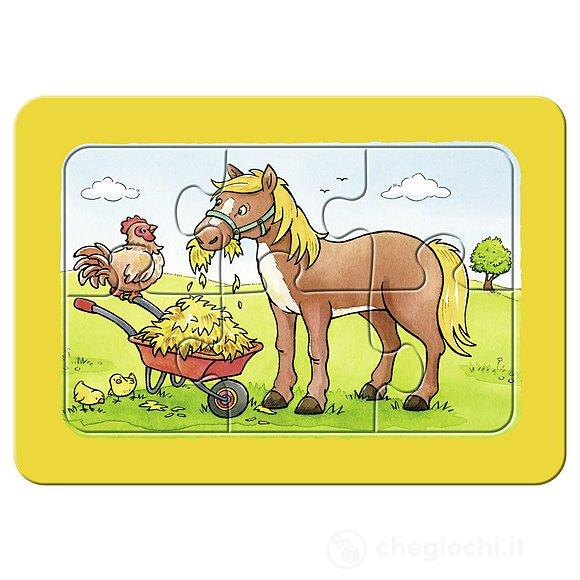 Teneri amici animali (6571)