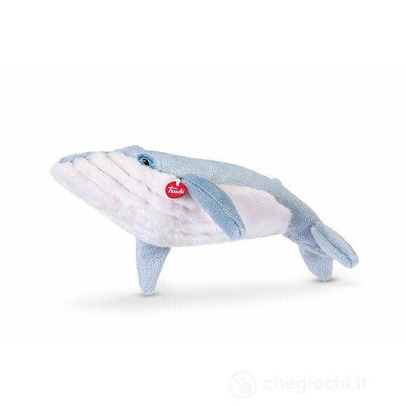 Balenottera azzurra M (26572)