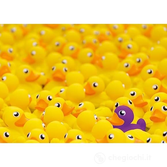Paperelle Challenge - Puzzle 1000 pezzi - Challenge (12000587)