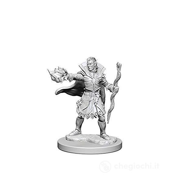 Pathfinder Dcum Elf Male Sorcerer