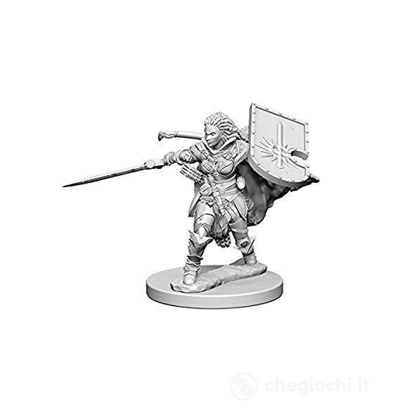 Pathfinder Dcum Human Female Paladin