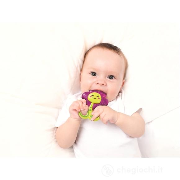 Happy Daisy – Massaggiagengive Freddo (17609)