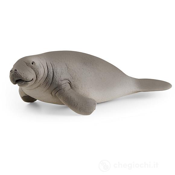 Lamantino (2514839)
